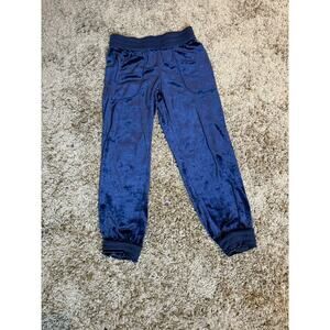 Blue Velvet Jogger Pants